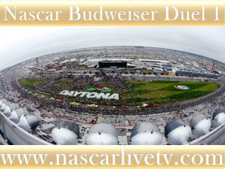 Online Nascar Sprint Cup Live Streaming