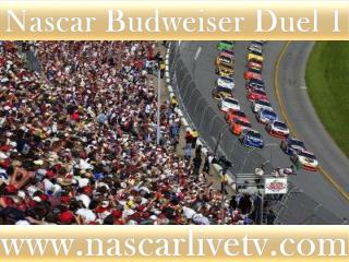 Nascar Budweiser Duel 1 Race 19 feb 2015