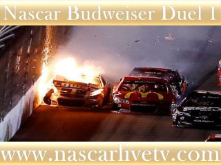 Nascar Budweiser Duel 1 Race Live Online