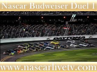 Watch Nascar Budweiser Duel 1 Race Live Broadcast