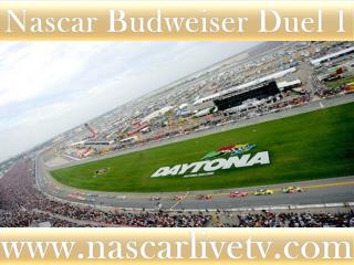 See Nascar Sp Cup Budweiser Duel 1 Race Live