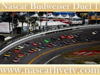 Nascar Sprint Cup Race Live