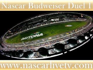 See Nascar Online