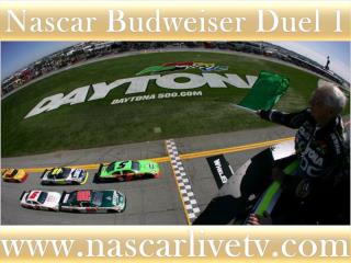 watch Budweiser Duel 1 at Daytona live stream