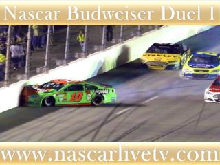 watch 75-lap Budweiser Duel 1 at Daytona online racing