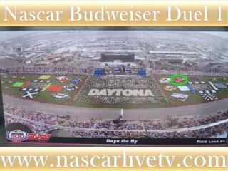 online live Budweiser Duel 1 at Daytona
