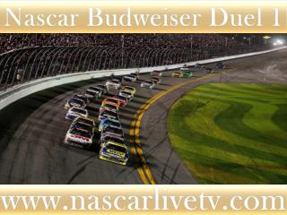 watch live 75-lap Budweiser Duel 1 at Daytona on mac