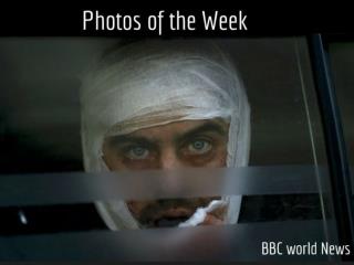 Photos of the Week