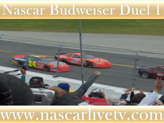 Live Nascar