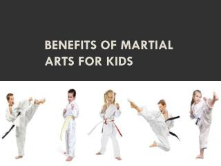 Benefits of Martial Arts for Kids