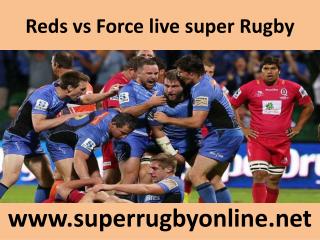 Reds vs Force live super Rugby