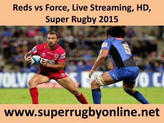 Reds vs Force, Live Streaming, HD, Super Rugby 2015