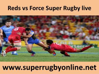 Reds vs Force Super Rugby live