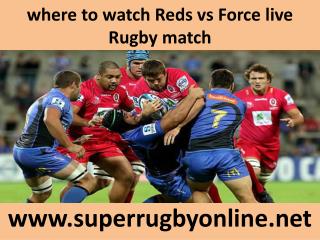 where to watch Reds vs Force live Rugby match