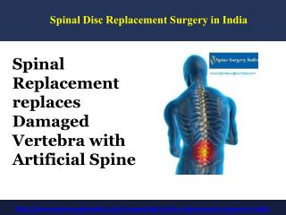 Spinal Disc Replacement Surgery in India
