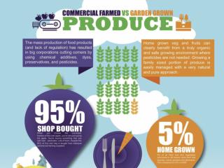 Comparison between Commercially Farmed & Home Grown Produce