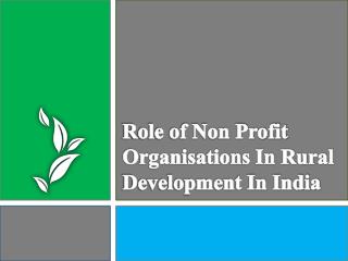 Rural development in India and Non profit organisations