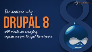 Drupal Developers