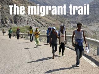 The migrant trail