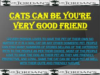 Cats Can Be You're Very Good Friend