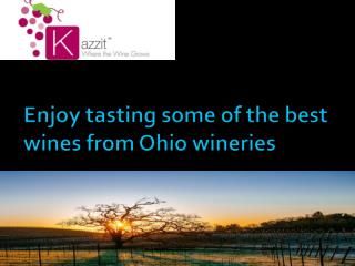 Enjoy tasting some of the best wines from Ohio wineries