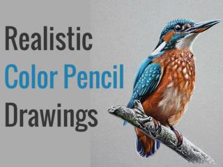 Realistic Color Pencil Drawings