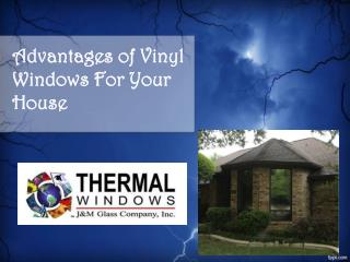 Advantages of Vinyl Windows For Your House