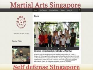 Martial Arts Singapore