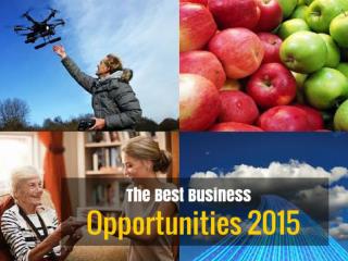 The Best Business Opportunities 2015