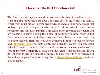 Flowers are the Best Christmas Gift