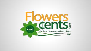 Floral Wholesalers Today