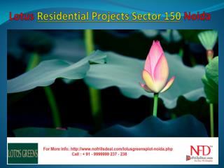 Residential Apartments Sector 150 Noida @ 9999999238