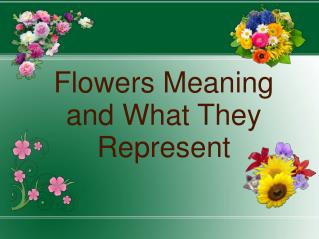 Flowers Meaning and What They Represent