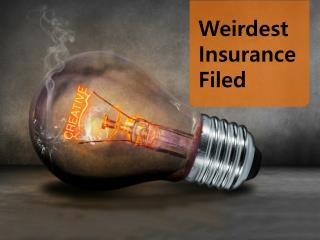 Weirdest Insurance Filed