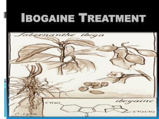 Ibogaine Treatment