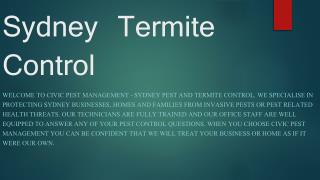 Sydney Termite Control