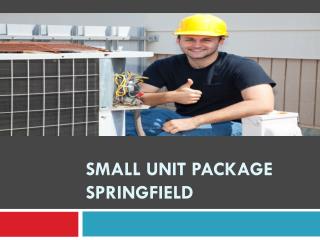 Small unit package Springfield