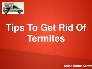 Tips To Get Rid Of Termites