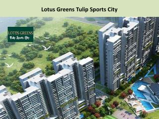 Lotus Greens Tulip Sports City 2/3/4 Bhk Call @ 91- 9560090