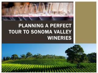 Planning a perfect tour to Sonoma Valley Wineries