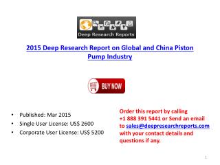 World and China Piston Pump Industry Policy Overview 2015