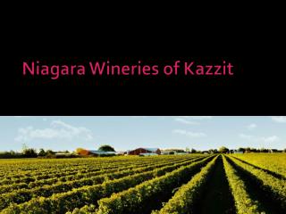 Niagara Wineries of Kazzit