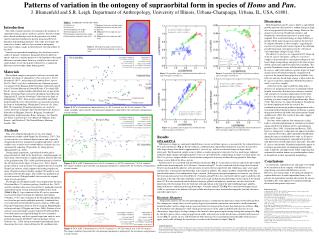 Patterns of variation in the ontogeny of supraorbital form in species of Homo and Pan .