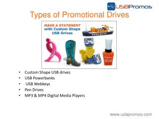 USB Promotional Custom USB Drives