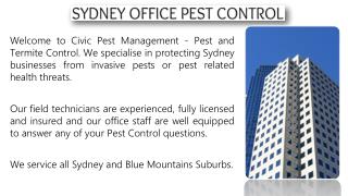 Office Pest Control