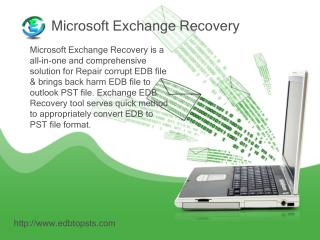 Microsoft Exchange recovery