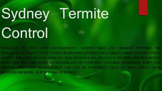 Termite Inspections blue mountains