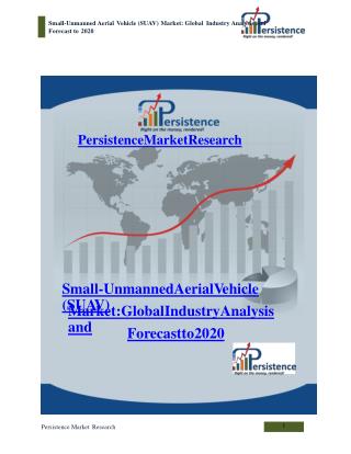 Small-Unmanned Aerial Vehicle (SUAV) Market: Global Industry