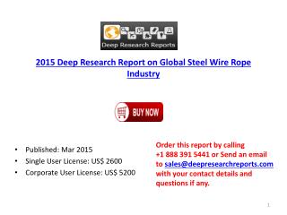 Global Steel Wire Rope industry Competitive Landscape Overvi