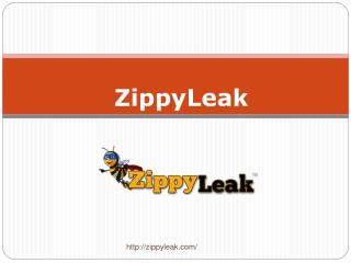 Plumbing Leak Detection | 800-699-8127 | ZippyLeak